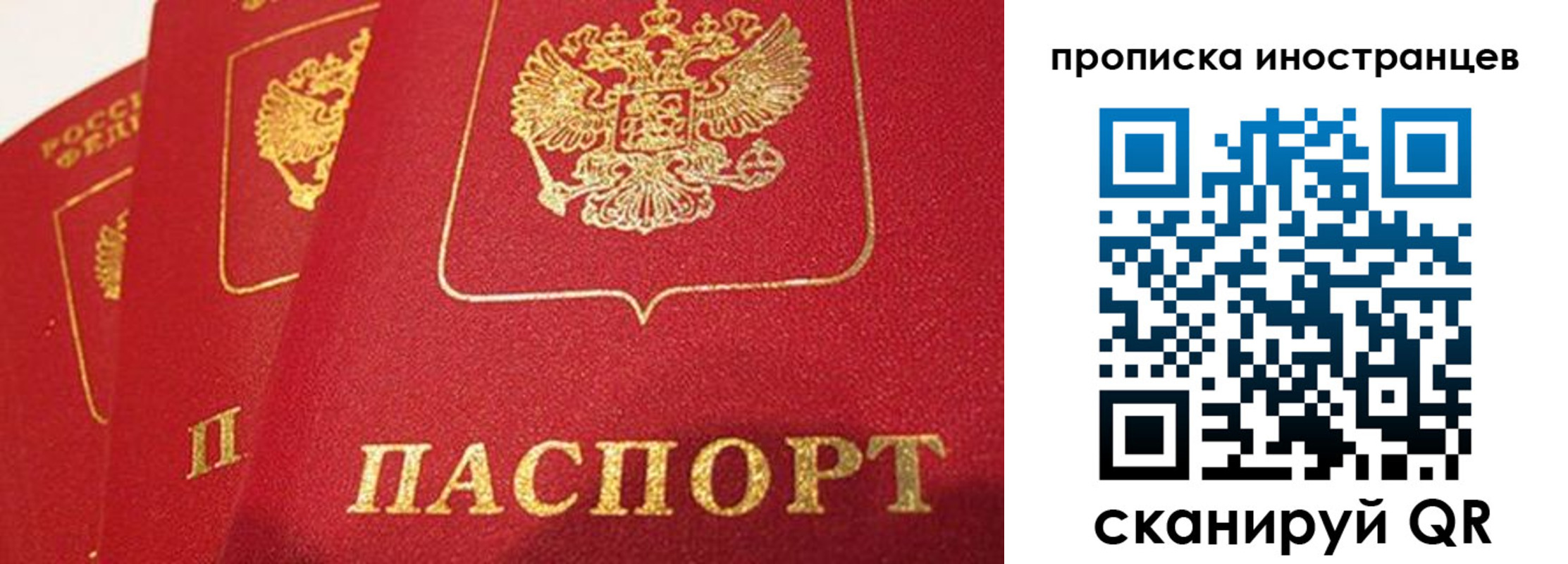 прописка поиск в Темрюке